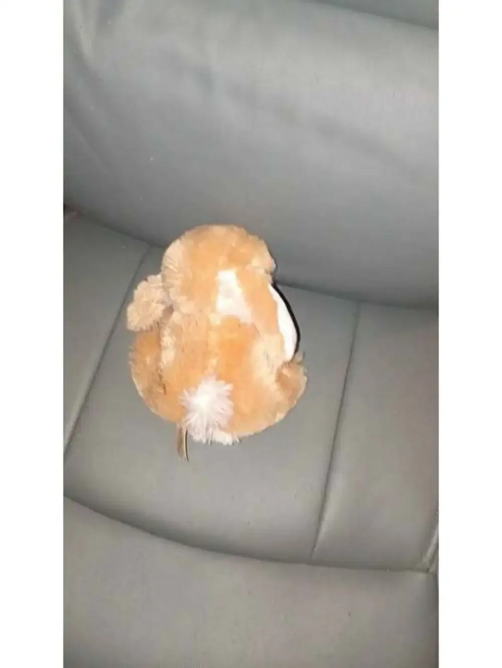 Little rabbit stuffed animal